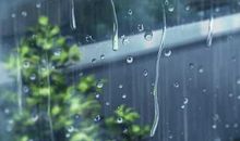 听听雨的声音