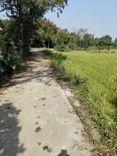 家乡路
