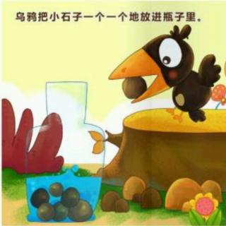 乌鸦饮用水新版