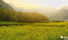 最是难忘田园居