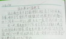 猫先生与鼠小弟