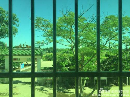 教室窗外