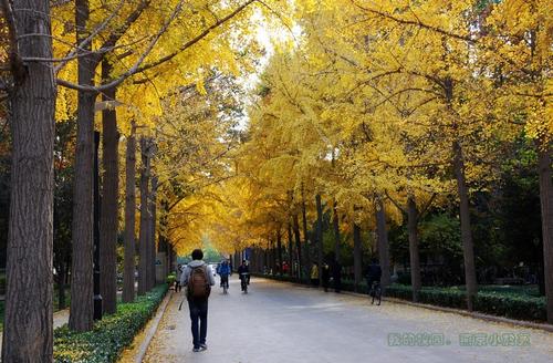 秋季学校
