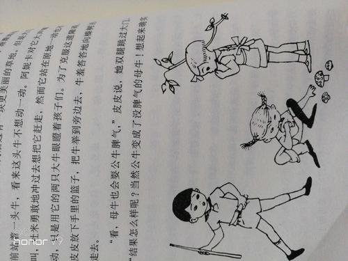 关于“长袜子皮皮”的思考