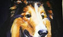 共享时代的魅力