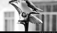 我最想依靠的就是您