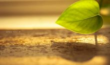 找回内心深处的温暖