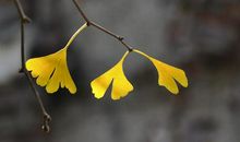 我喜欢的一抹阳光