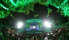 精彩的森林音乐会