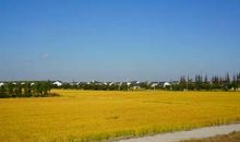 描写古镇的作文