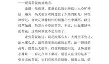 小小动物园作文400字