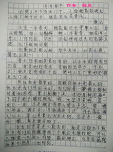 来武汉的作文