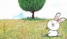 兔子的自述