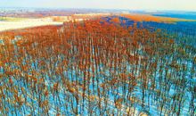 黄河故道美如画