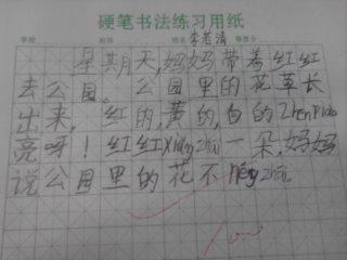 不要摘花，看图片和写字