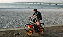 坎坷的成长之路