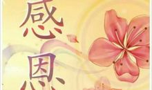 世界本向阳，且行且珍惜