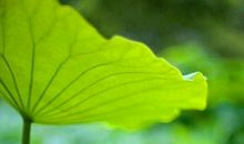 镌刻在心底的约定