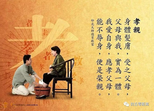 母爱陪我旅行