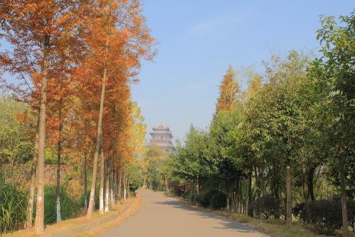 故乡秋景