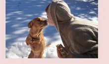 生命因信念而闪光