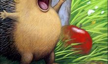 我有一只小刺猬