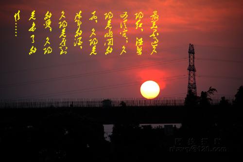 晚恋