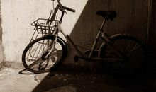 阳光下的自行车