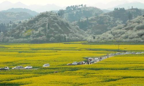 春季旅行