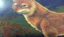 读《红豺》有感