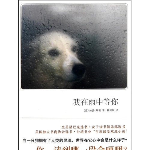 我在雨中等你
