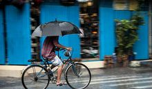 共享利，共享弊