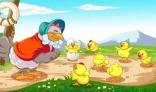 勇敢的鸡妈妈