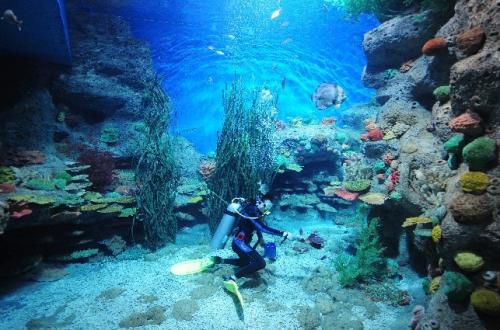 水族馆旅行须知