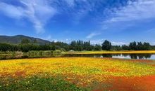 美不胜收的秋天