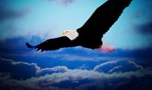 有尊敬才有远方