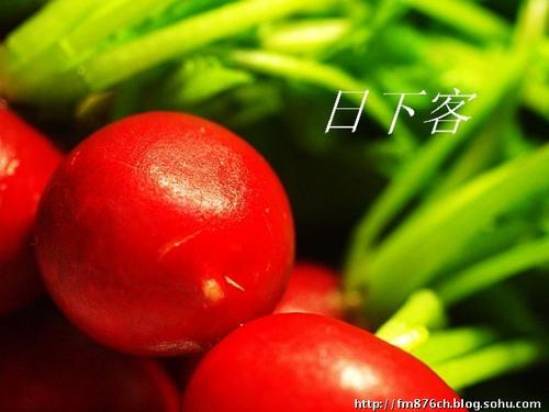 我的生活就像一首歌