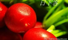 我的生活像一首歌