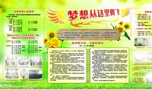 宣传委员竞选演讲稿_800字