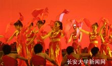 菊花精神鼓舞了我