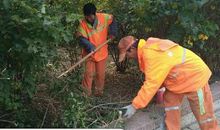 勤劳让生活更美好