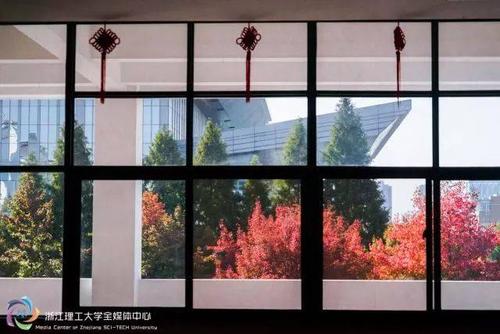 顽皮的窗户