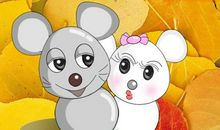 老鼠，我想对你说