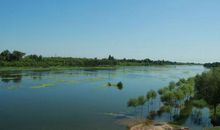 我爱家乡的那条河