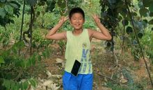 外婆家的猕猴桃