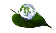 感悟生命的意义