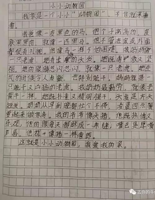 小动物园作文家庭400字