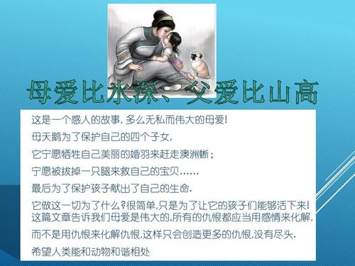 阅读后的黑天鹅紫水晶