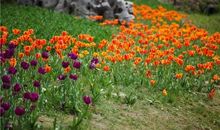 不该丢失的春天