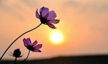 文化境界的提高需精神上的突破